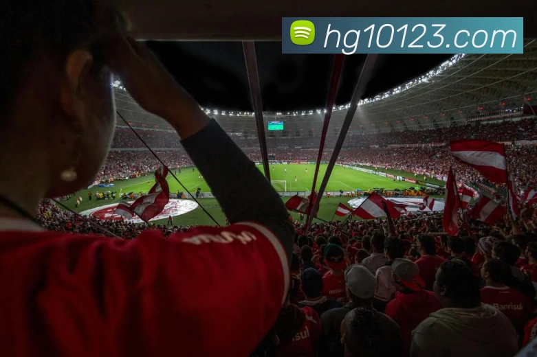 奖项图3